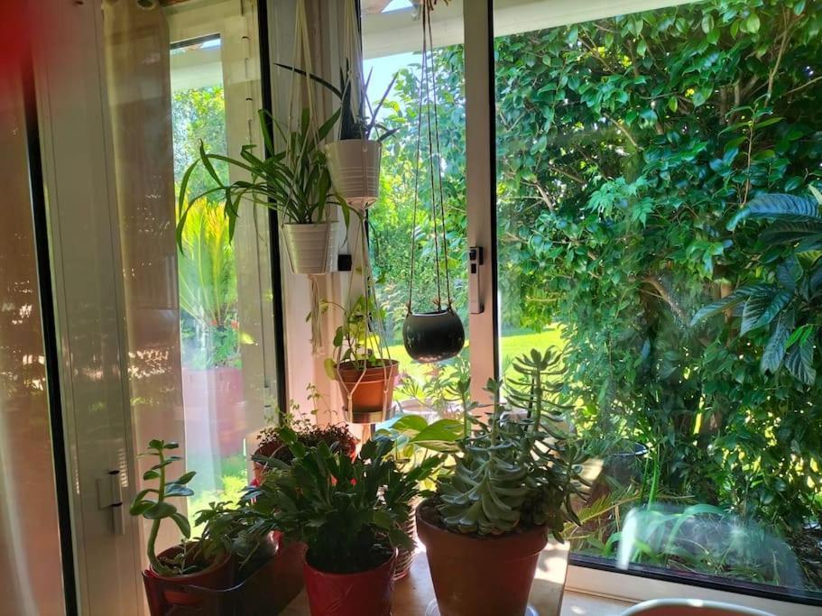 Casa Triana Villa Soure Eksteriør bilde